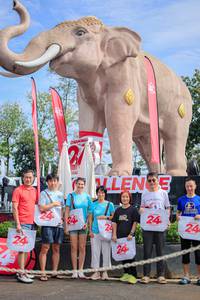 BIB: 
                            <button type="button" onclick="openModal(26527990)" class="btn btn-primary btn-sm float-right btn-popup" data-toggle="modal" data-target=".modal-high-quality">
                        <i class="fas fa-shopping-cart"></i> Add to Cart
                    </button>
                                            <button type="button" onclick="isThisMe(26527990, true)" class="btn btn-success btn-sm float-right btn-popup btn-isme hidden" data-toggle="tooltip" data-placement="bottom" title="นี่คือรูปของคุณใช่ไหม คลิกที่นี่เพื่อเอาเข้าอัลบั้ม">
                        <i class="fas fa-plus"></i> Add to album
                    </button>
                    <button type="button" onclick="isThisMe(26527990, false)" class="btn btn-warning btn-sm float-right btn-popup btn-isnotme hidden">
                        <i class="fas fa-ban"></i> Remove from album
                    </button>